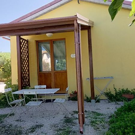 Agriturismo I Ciliegi Appartamento Ginestra Montignano エクステリア 写真