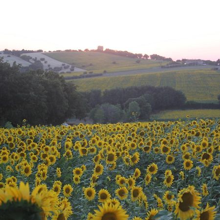 Agriturismo I Ciliegi Appartamento Ginestra Montignano エクステリア 写真