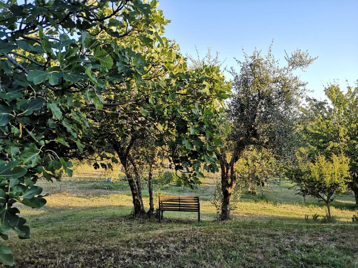 Agriturismo I Ciliegi Appartamento Ginestra Montignano エクステリア 写真