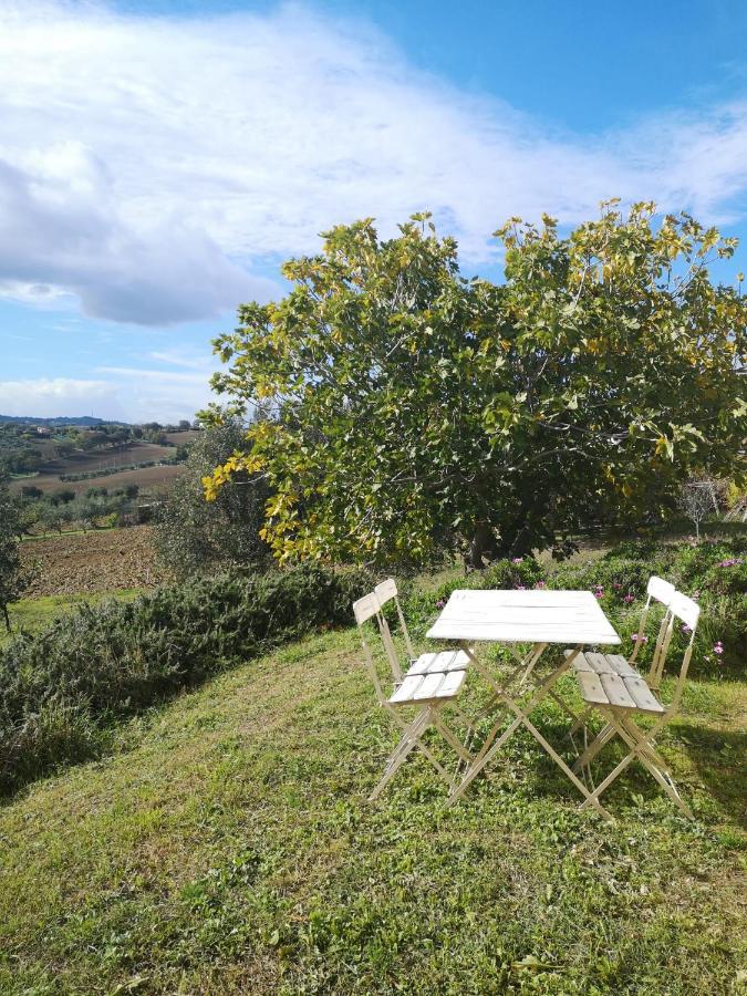 Agriturismo I Ciliegi Appartamento Ginestra Montignano エクステリア 写真