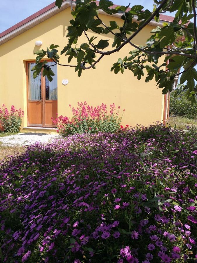 Agriturismo I Ciliegi Appartamento Ginestra Montignano エクステリア 写真